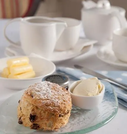 Trout 호텔 코커머스